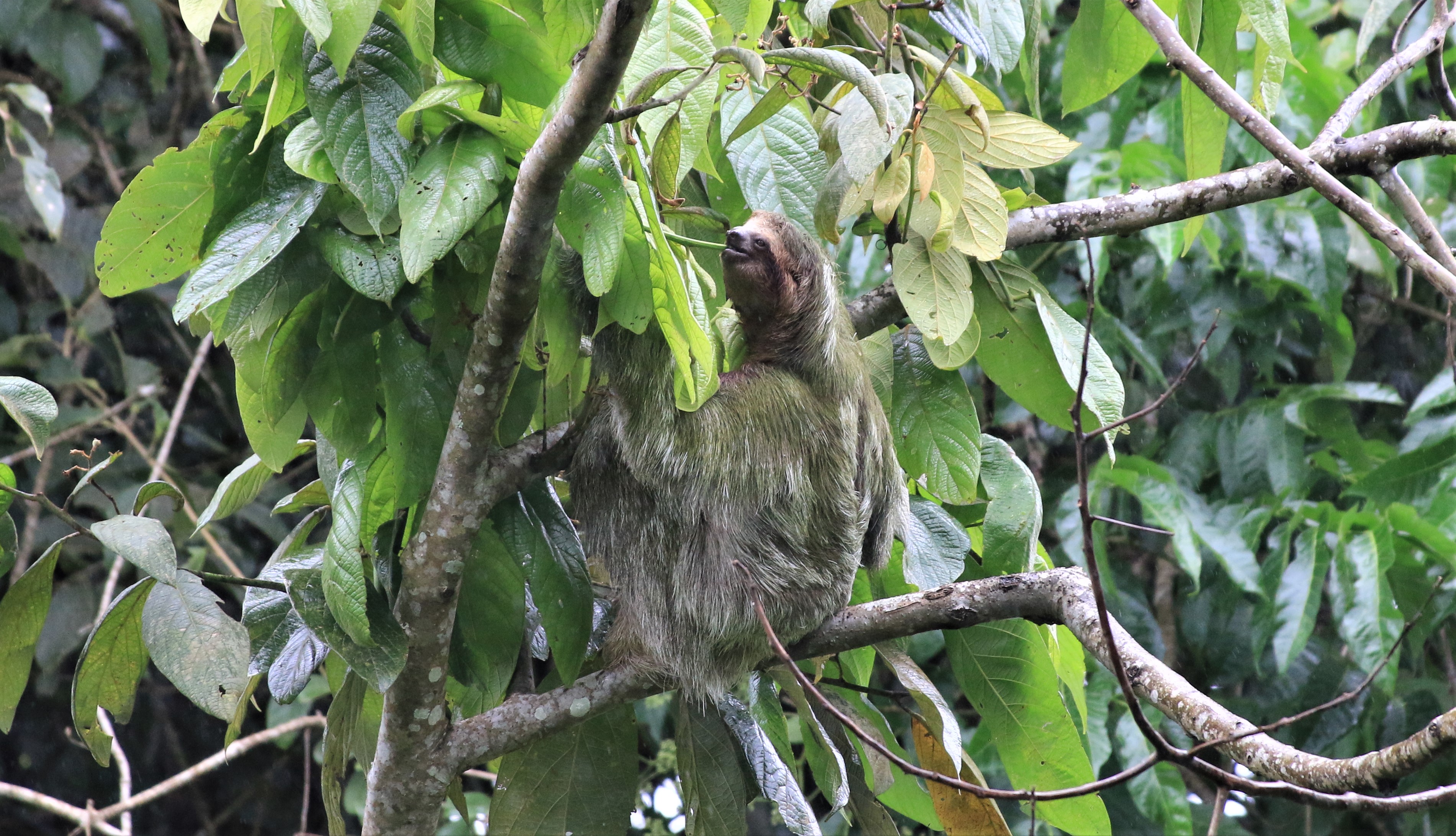 Costa Rica